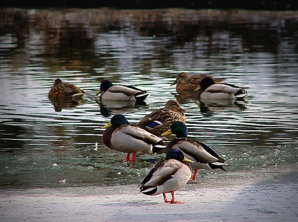 Pogoda na weekend - dużo słońca i mrozu