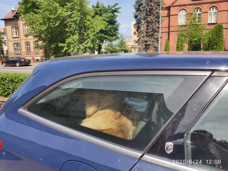 Źródło: SM Wejherowo