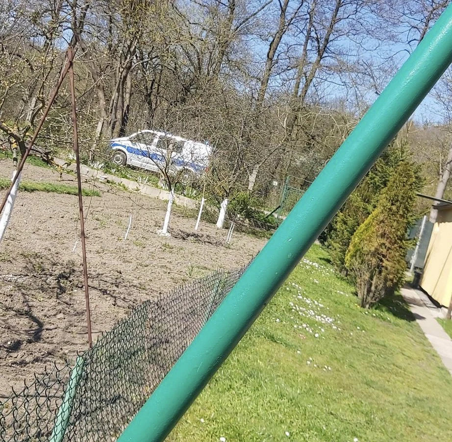Fot. Czytelniczka