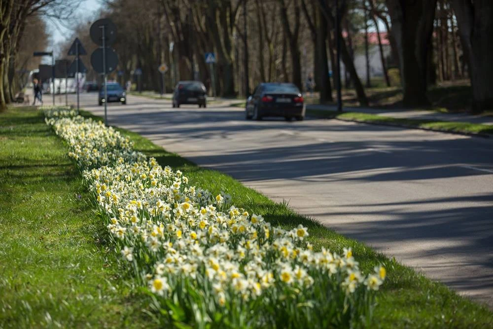 źródło: wladyslawowo.pl