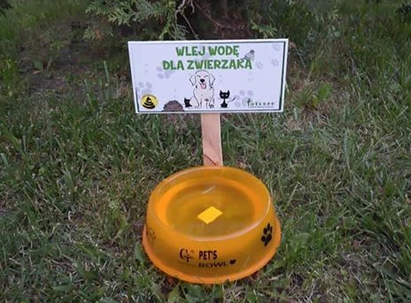 Fot. Stowarzyszenie Redzka Kupa Wstydu/Facebook