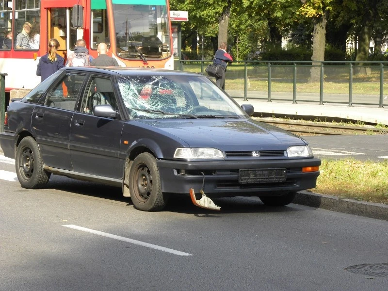 Pieszy potrącony na pasach