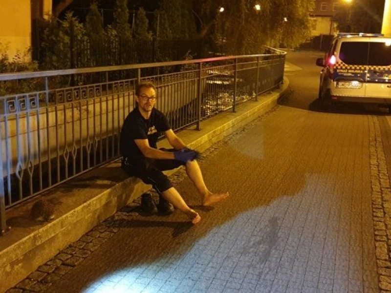 fot. SM Wejherowo