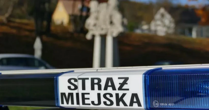 fot. Straż Miejska w Gdańsku 