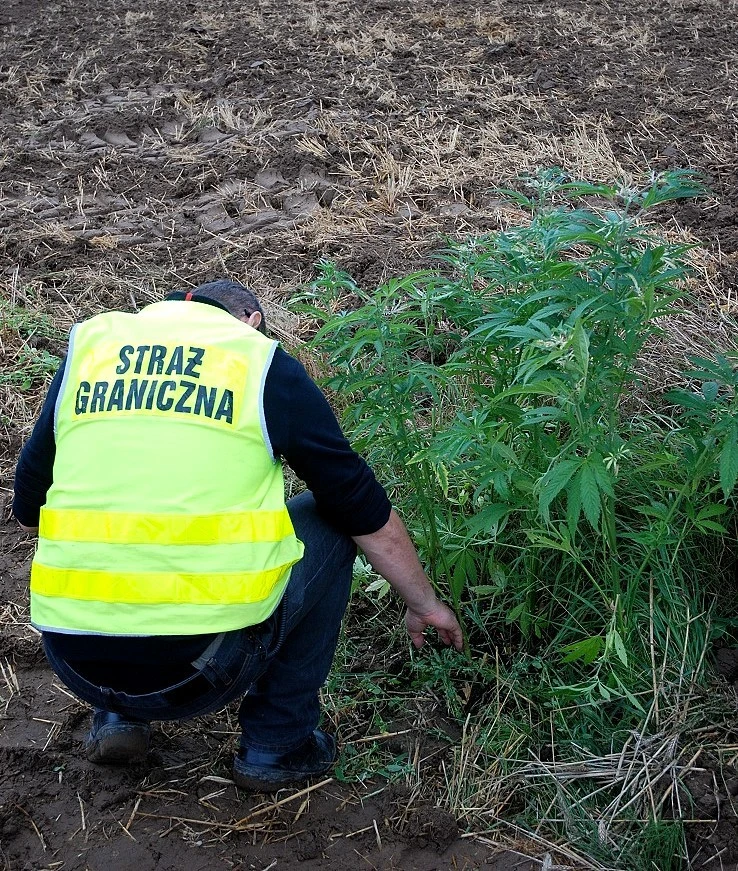 fot. Morski Oddział Straży Granicznej
