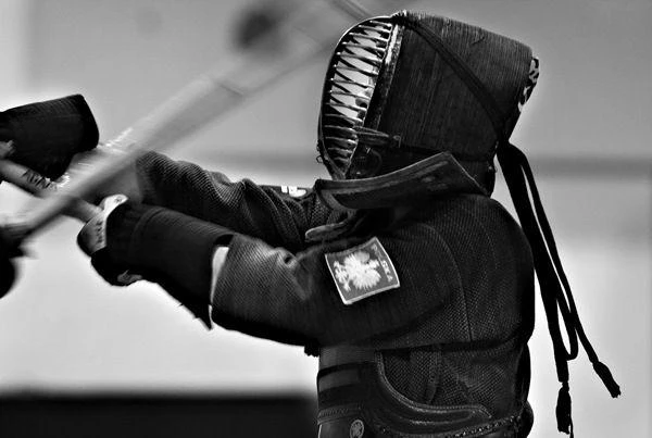 Przedstawicieli Europejskiej Federacji Kendo w Gdyni