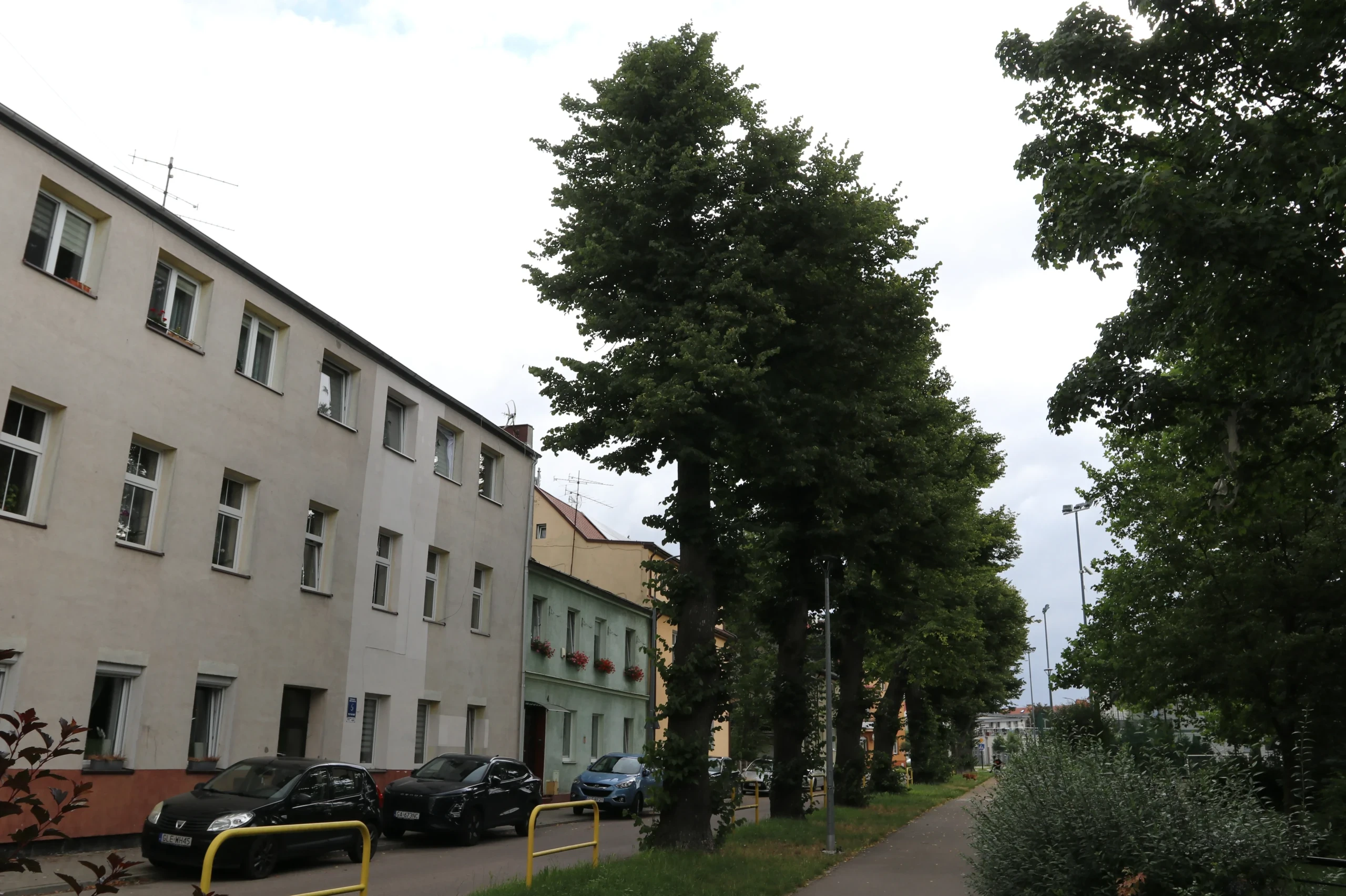 Fot. UM Lębork