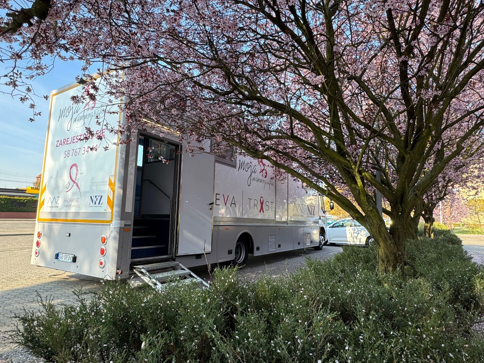 fot. Geneva Trust / zdjęcie poglądowe