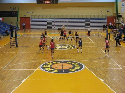 Jednostronne derby Pomorza. Trefl ograł TPS 3:0