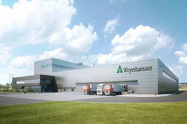 fot. weyerhaeuser-polska.pl