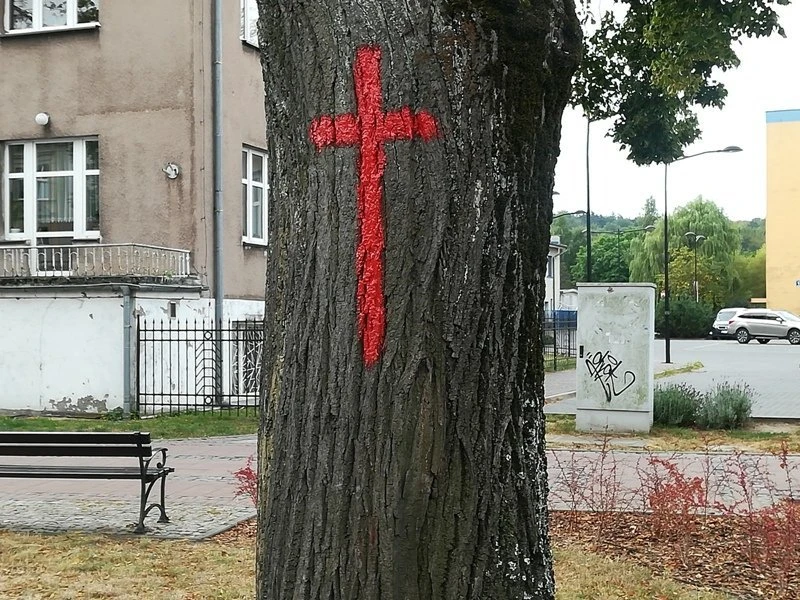 fot. SM Wejherowo