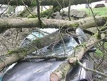 Połamane drzewa w Wejherowie. Wiatr osłabnie dopiero wieczorem