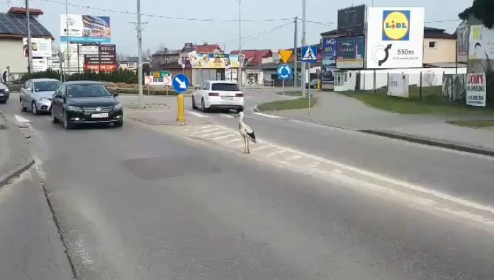 Fot. Czytelnik portalu Nadmorski24.pl