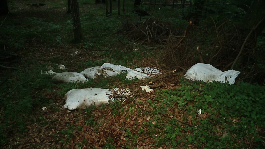 Konały w upale, skrępowane w lesie
