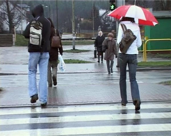 Gdańsk: „Zebra” na Al. Grunwaldzkiej