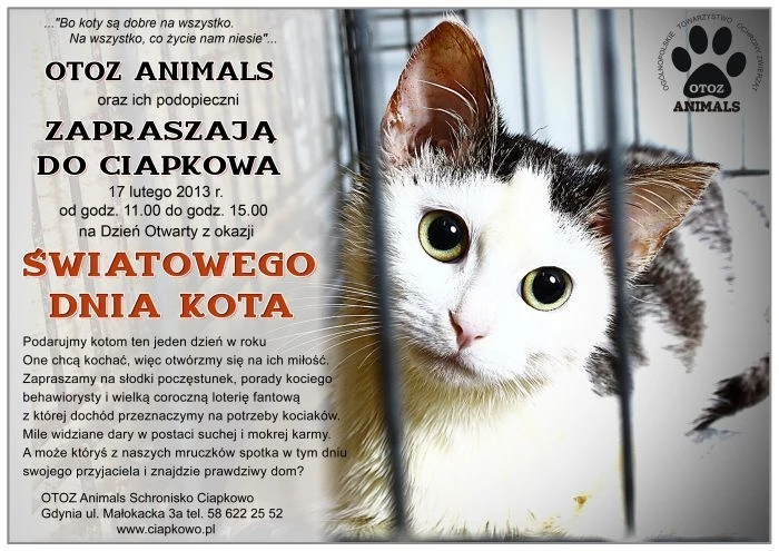 Światowy Dzień Kota w Ciapkowie
