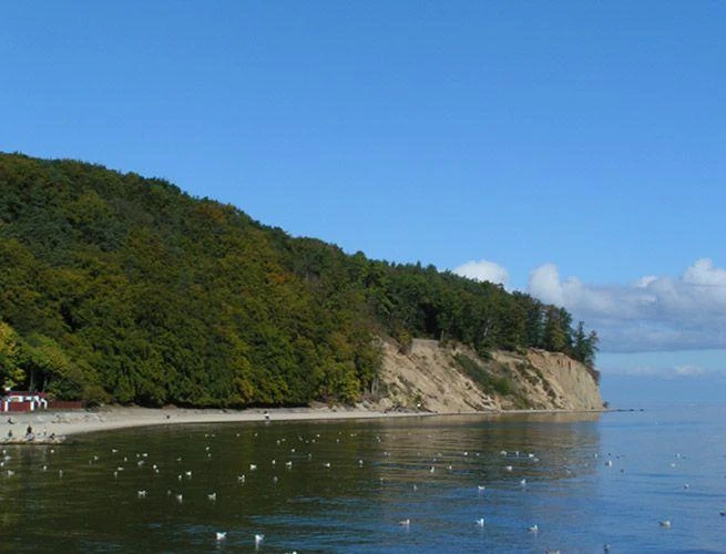 Gdynia: Na spacer po klifie. Mieszkańcy nadal ryzują życie wchodząc na skarpę