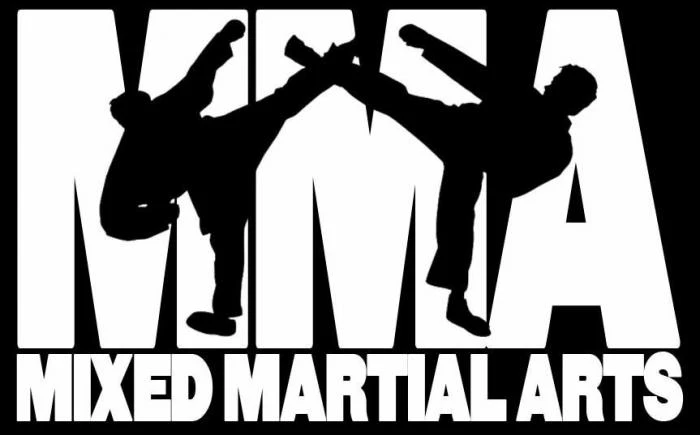 MMA w Polsce