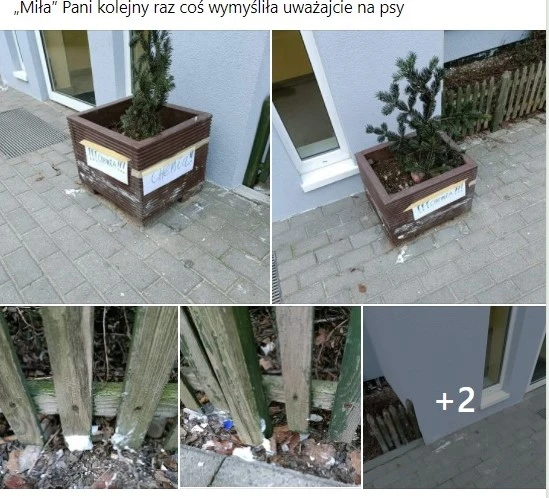 Fot. Mieszkańcy Redy