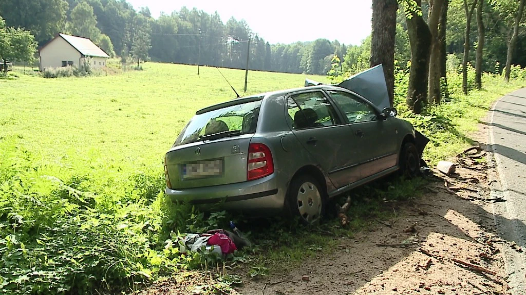 Samochód osobowy uderzył w drzewo