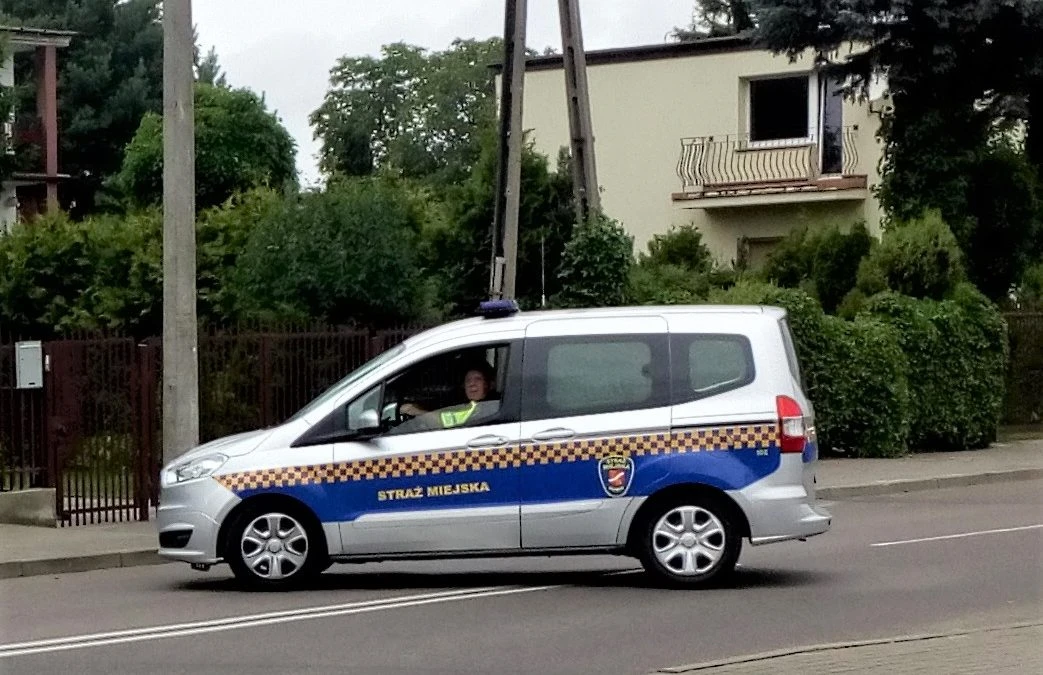 Źródło: SM Rumia