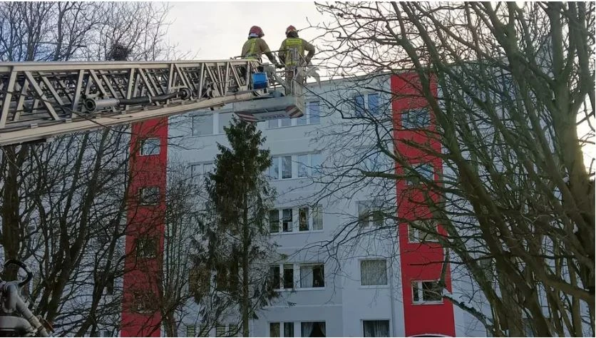 Fot. SM Wejherowo
