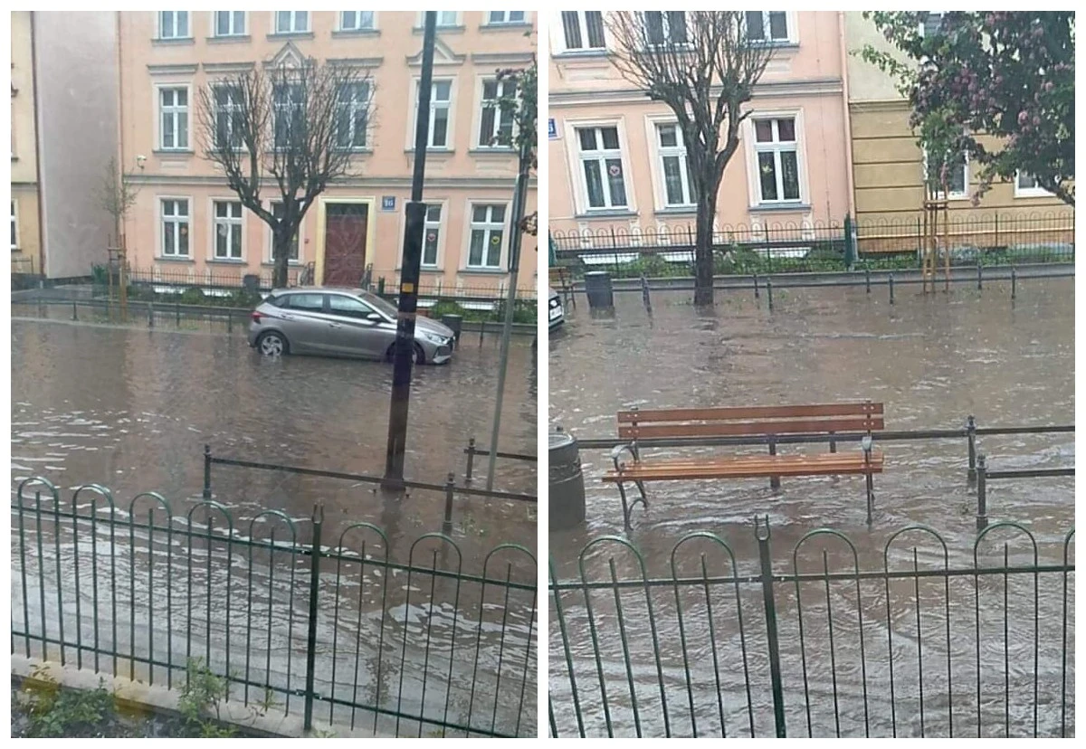 Fot. Czytelnik N24