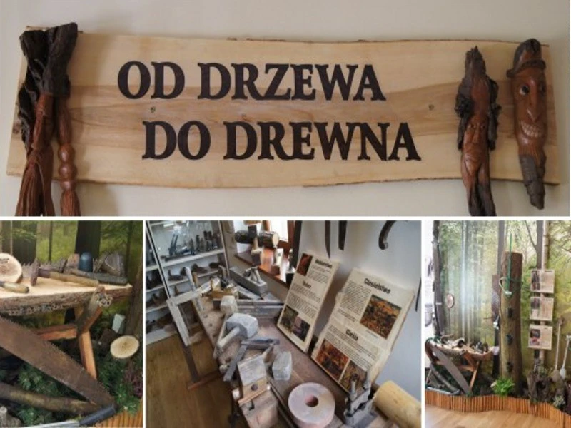 Historia leśnictwa w Dworku Drzewiarza