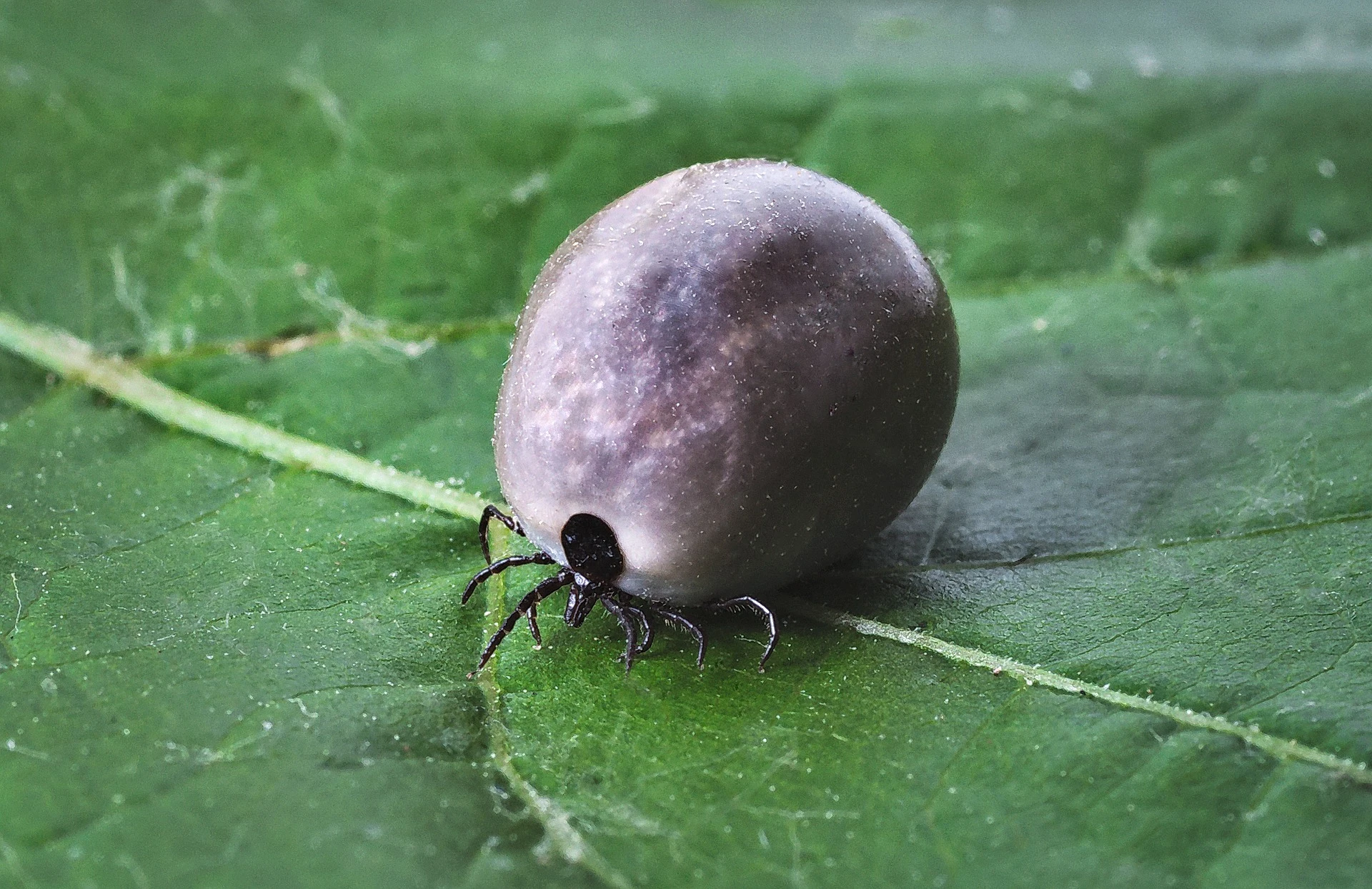 Fot. Pixabay.com