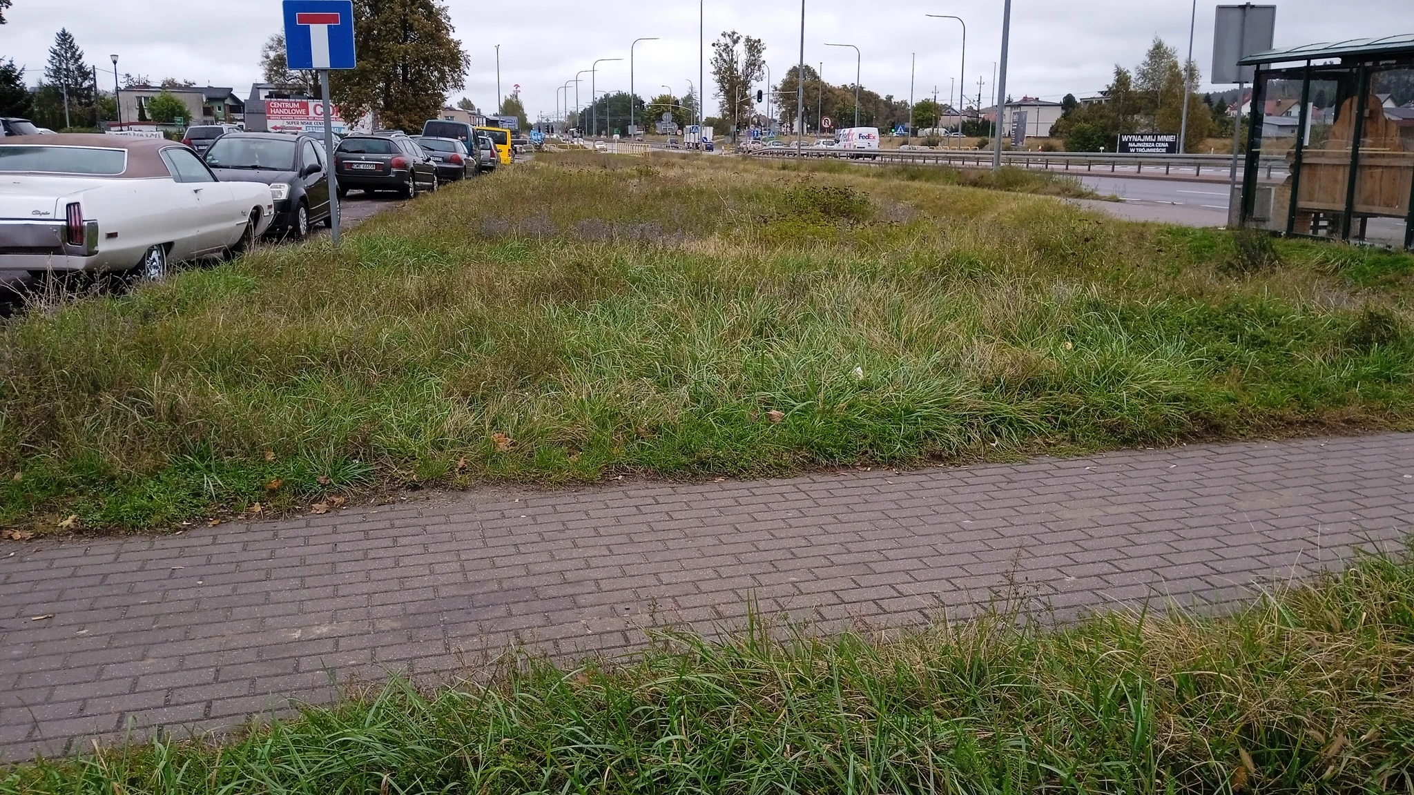 Fot. Metropolia Gdańsk-Gdynia-Sopot - Facebook