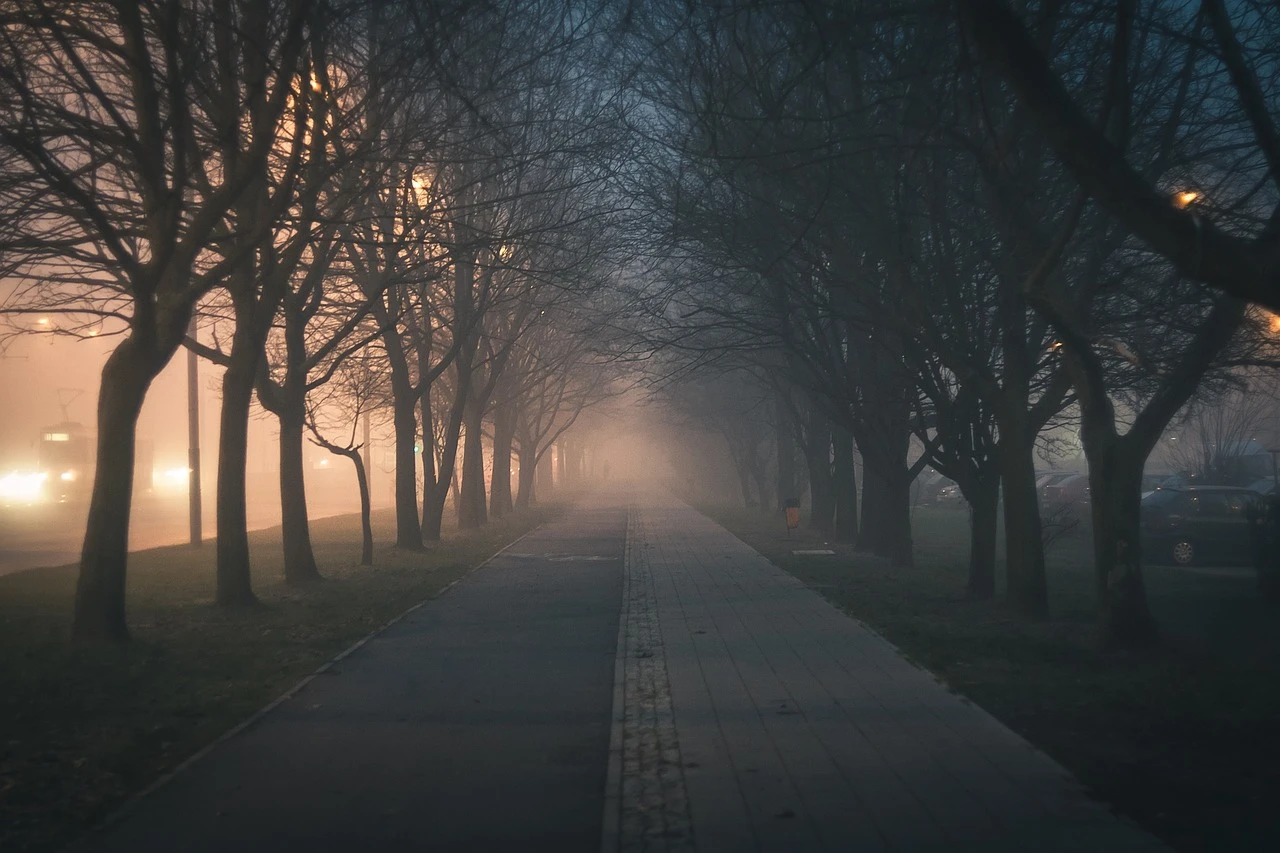 fot. zdjęcie poglądowe / pixabay