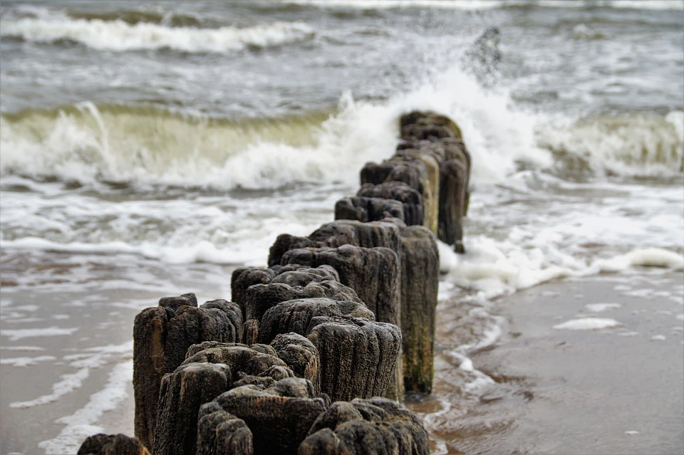 Źrodło.Pixabay.com