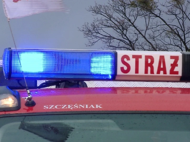 Strajk stażaków przez gdańskim portem