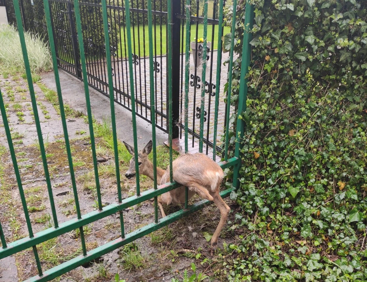 Fot. OSP Chłapowo