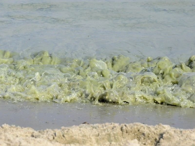 Zakaz kąpieli na gdyńskich plażach. Dlaczego?