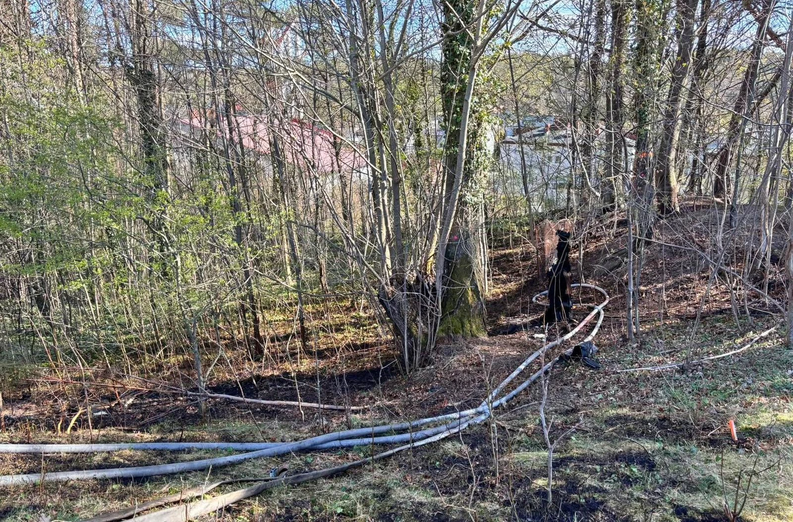 Fot. Choczewo24.info