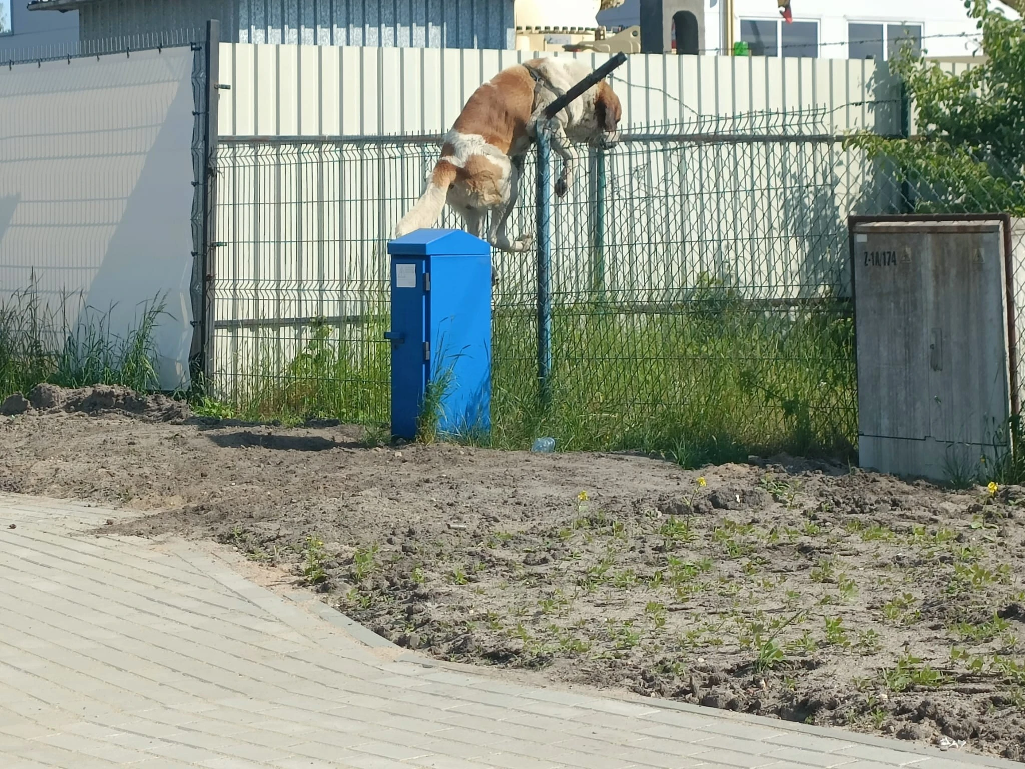 SM Wejherowo