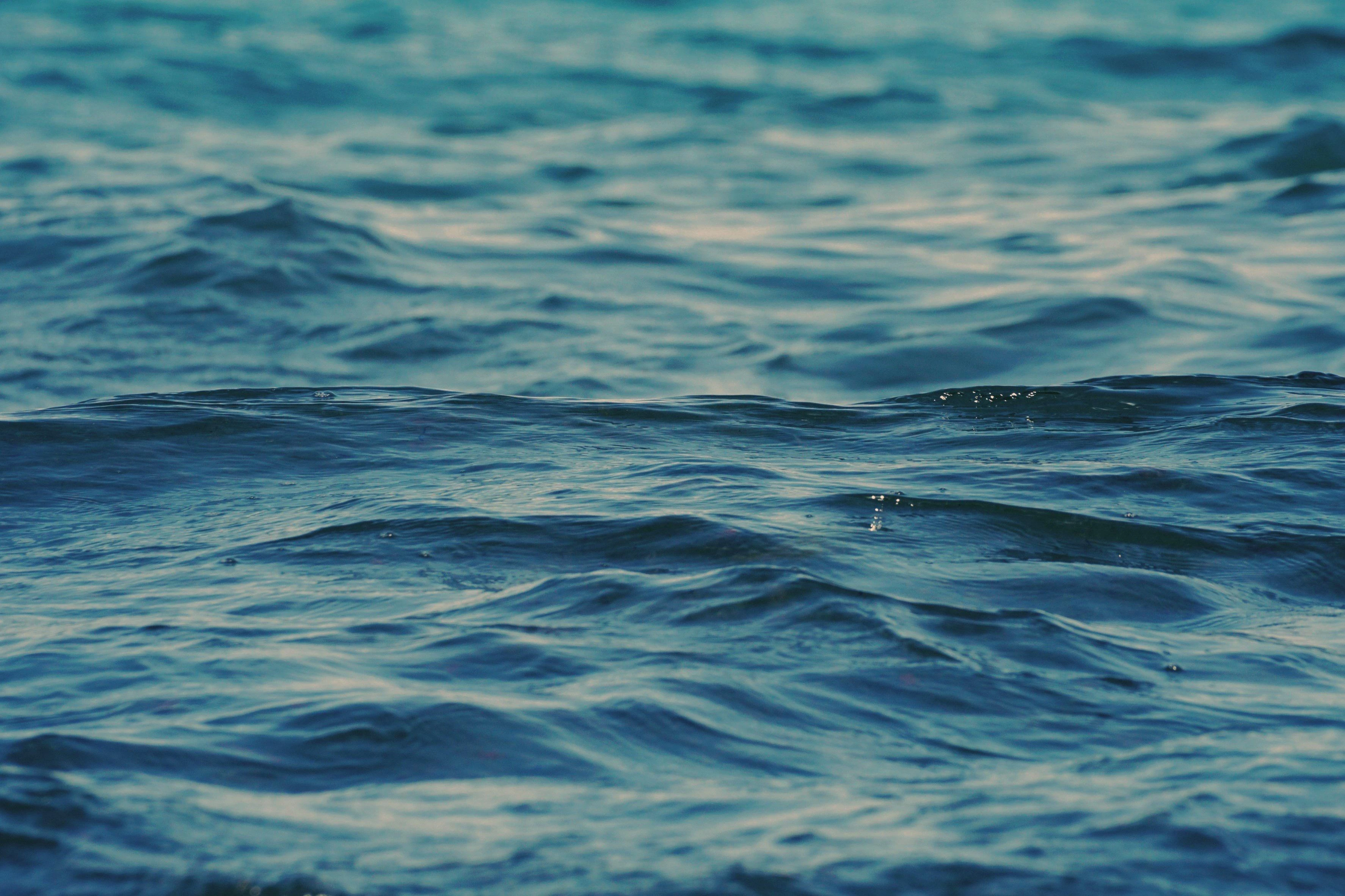 fot. pixabay.com 