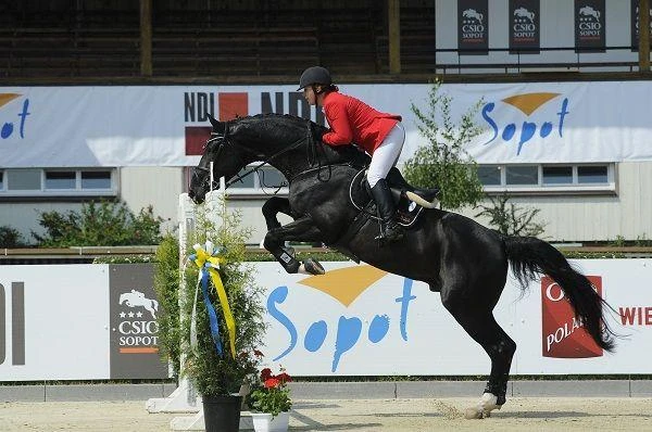 Sopot: Międzynarodowe Zawody w Skokach CSIO 3