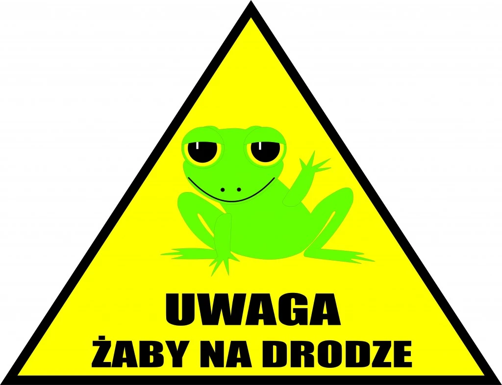 Daj przejść żabie, czyli jak Gdańsk pomaga płazom