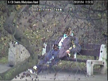 fot. Straż Miejska w Gdyni