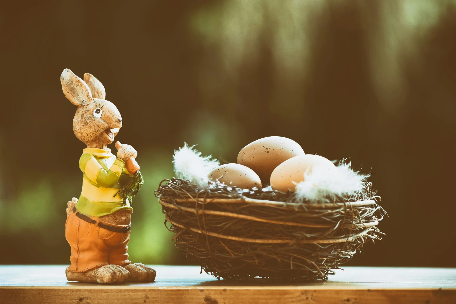 Źródło:pixabay.com