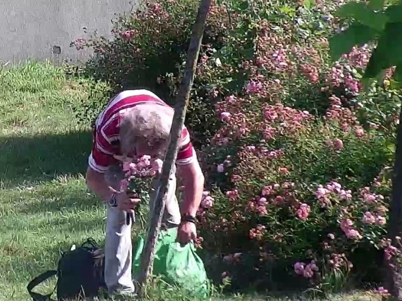 Fot. SM Wejherowo
