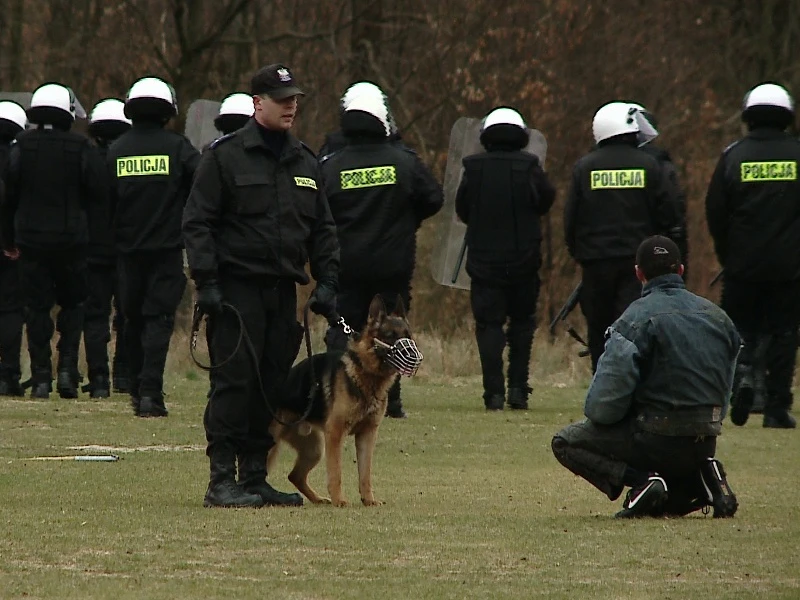 Policjanci ćwiczyli na Wzgórzu Wolności