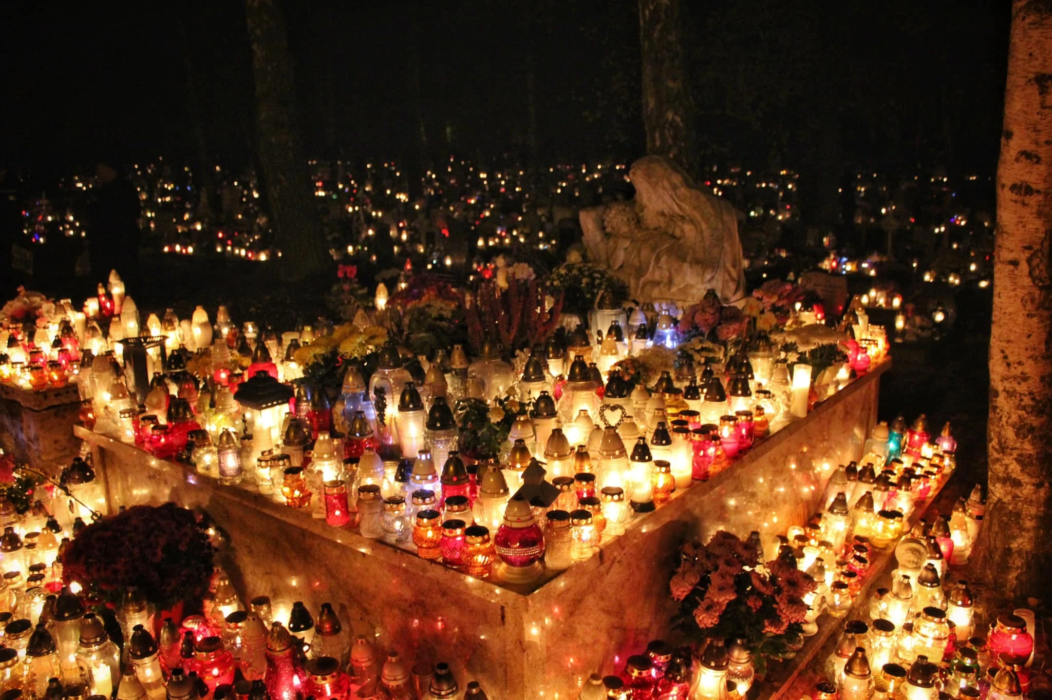 Fot. archiwum/ Czytelniczka Julieta