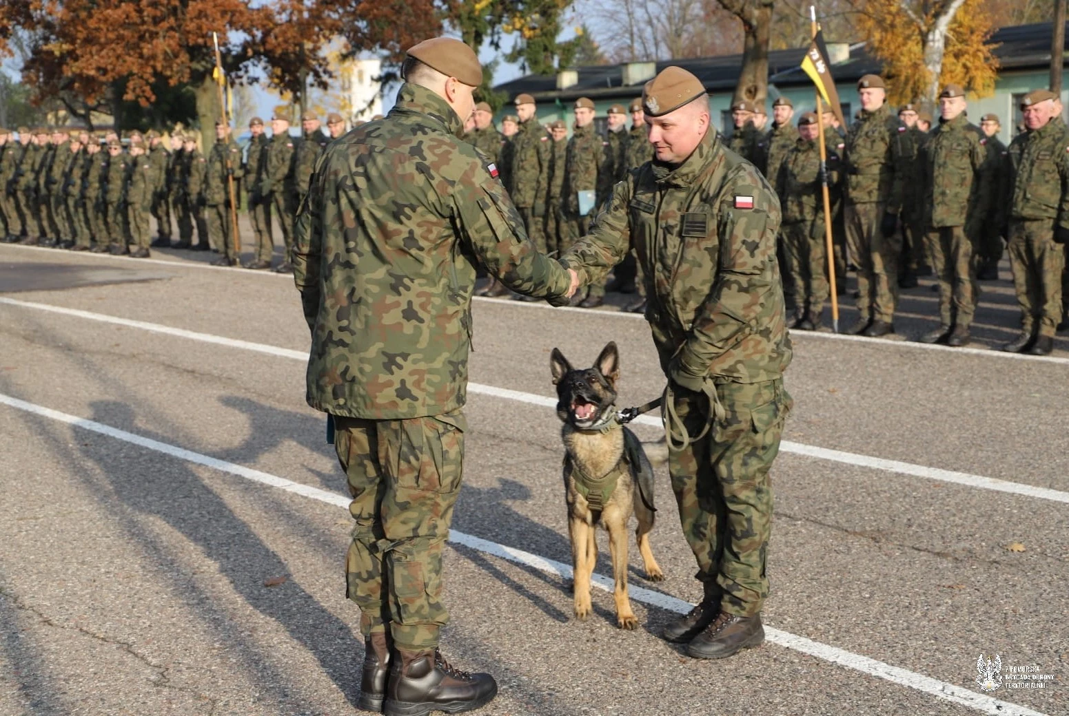 źródło: 7PBOT