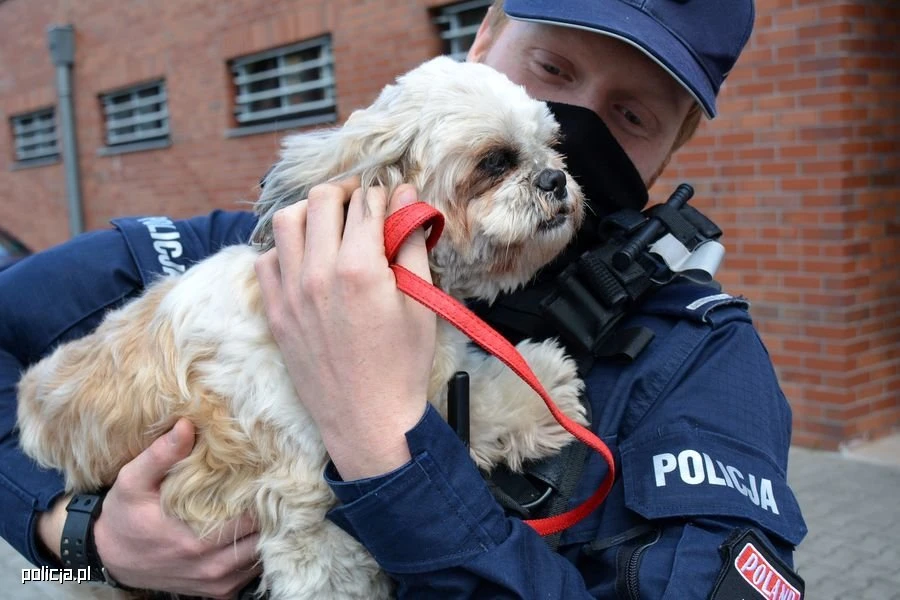 Fot. Policja.pl