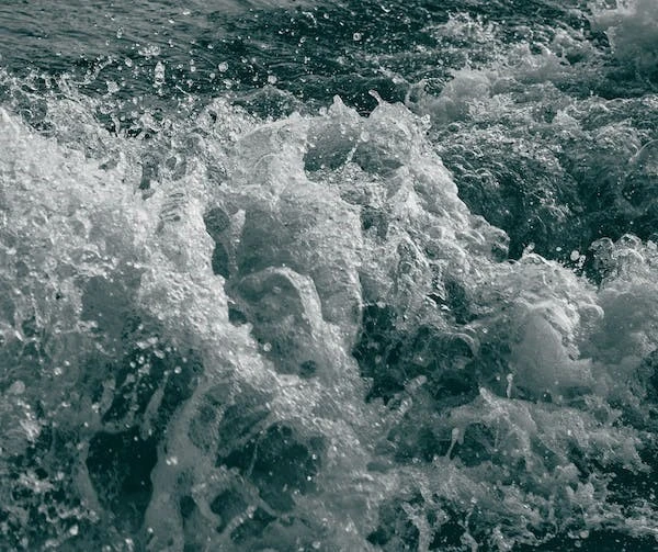 źródło: pexels