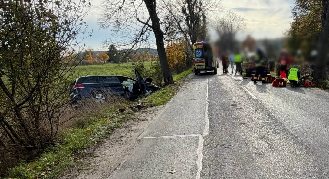 Zdjęcie: KPP w Wejherowie/FB