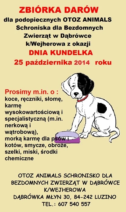 Przytulisko dla bezdomnych zwierząt w Dąbrówce organizuje zbiórkę darów